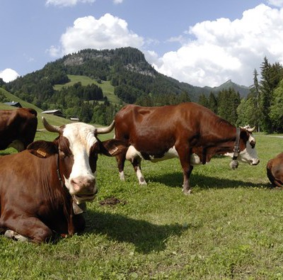 La Clusaz